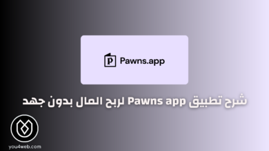 شرح تطبيق Pawns app